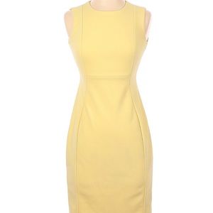 Light Yellow Calvin Klein Sleeveless Tight 6P Zip Up Dress